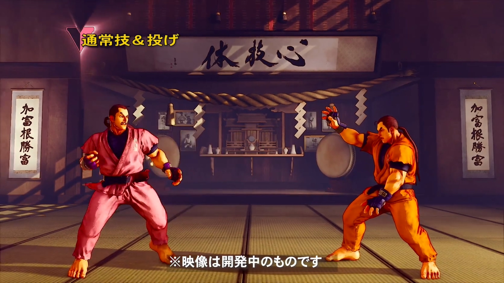 TGS 2020：《街头霸王5：冠军版》DLC角色“丹”实机演示