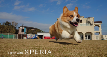 能否掀起波澜?索尼5G旗舰智能手机Xperia 1 II 和 Xperia 5 II 正式发布插图3 为速度而生 索尼5G旗舰智能手机Xperia 1 II 和 Xperia 5 II 正式发布