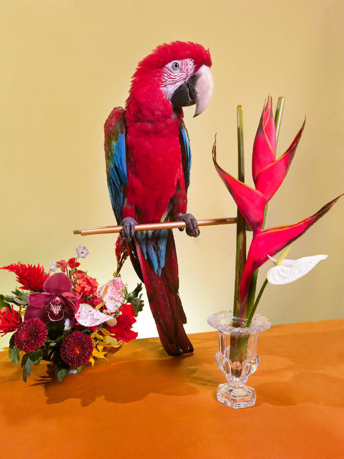 华为Mate 40发布：5纳米麒麟9000 5G旗舰芯片