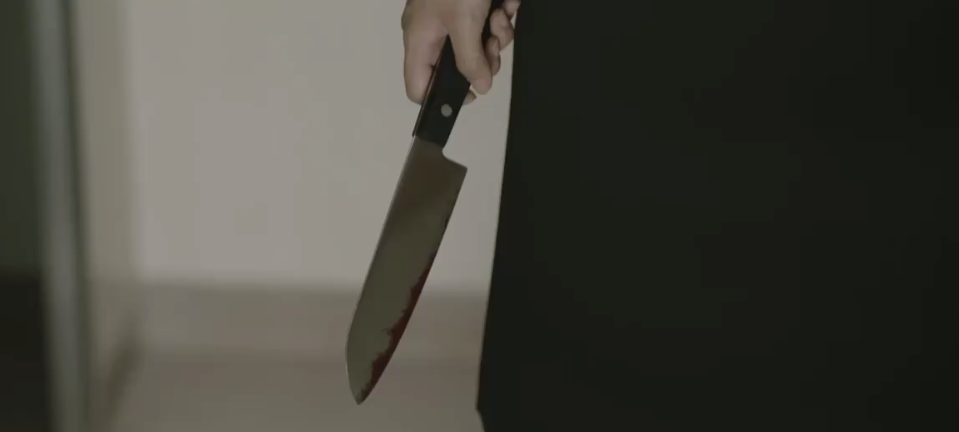 北川景子主演电影《初恋》正式预告 心理专家追凶记