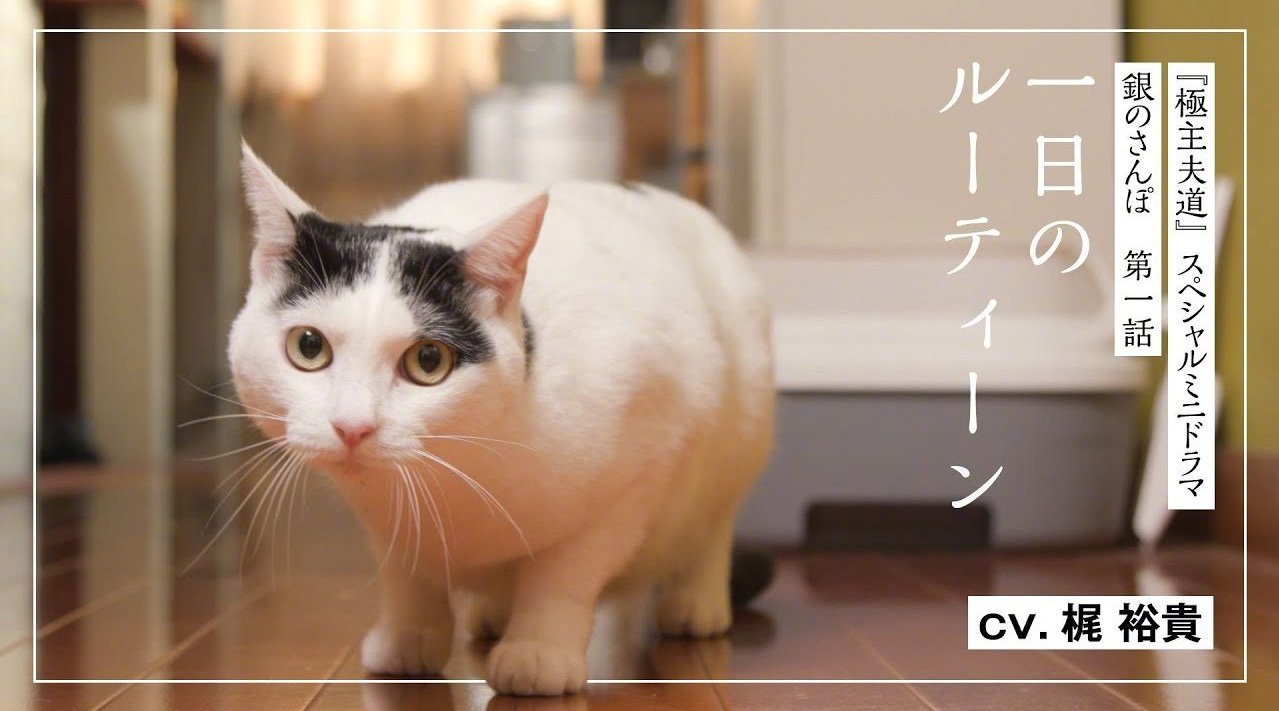 《极主夫道》SP迷你剧「银的散步」第一话：“一天的日常”【正片】