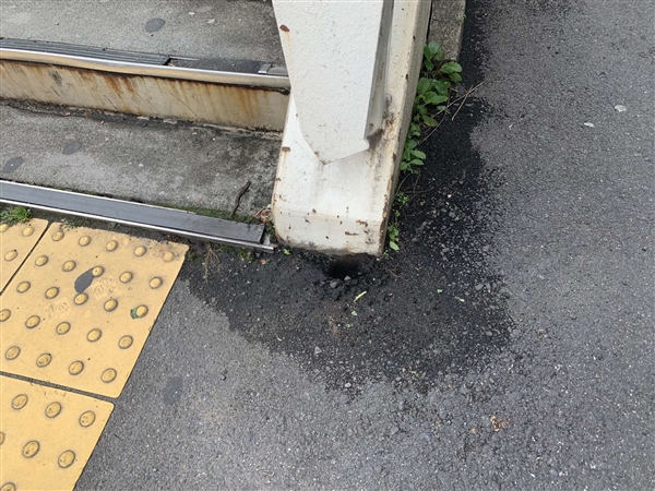 日本天桥下长出“超坚强”萝卜,结果惨遭拔走插图3 日本天桥下长出“超坚强”萝卜 网友纷纷围观 结果被拔掉了