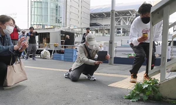 日本天桥下长出“超坚强”萝卜,结果惨遭拔走插图 日本天桥下长出“超坚强”萝卜 网友纷纷围观 结果被拔掉了