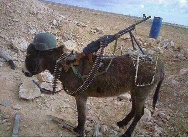 中国煤气罐在中东走红,富豪争抢囤货:居然是这个用处插图16 中国煤气罐在中东走红,富豪争抢囤货:居然是这个用处