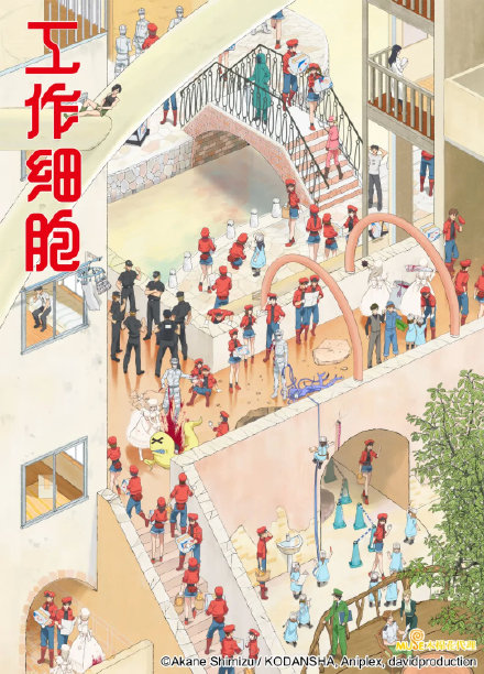 TV动画《工作细胞 第一季》将于2月13日起在央视6台开播