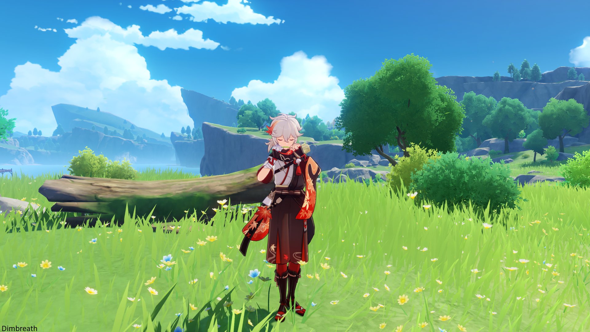 原神内鬼：帅炸！新人物【枫原万叶】元素爆发动画