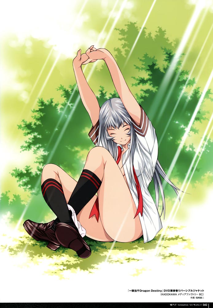 精美画集：【一骑当千 Animation Art Works】