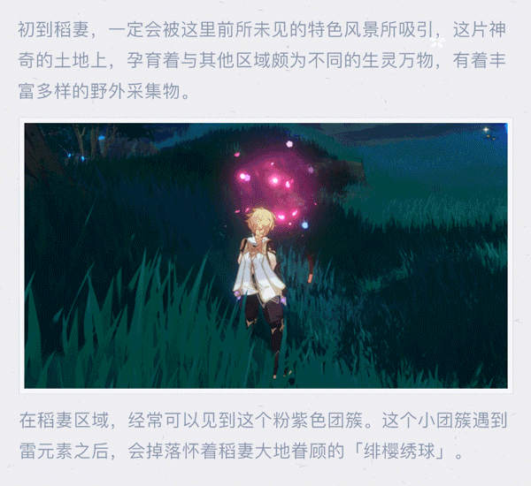 原神2.0版本前瞻：【稻妻手帐004期】前所未见的特产！
