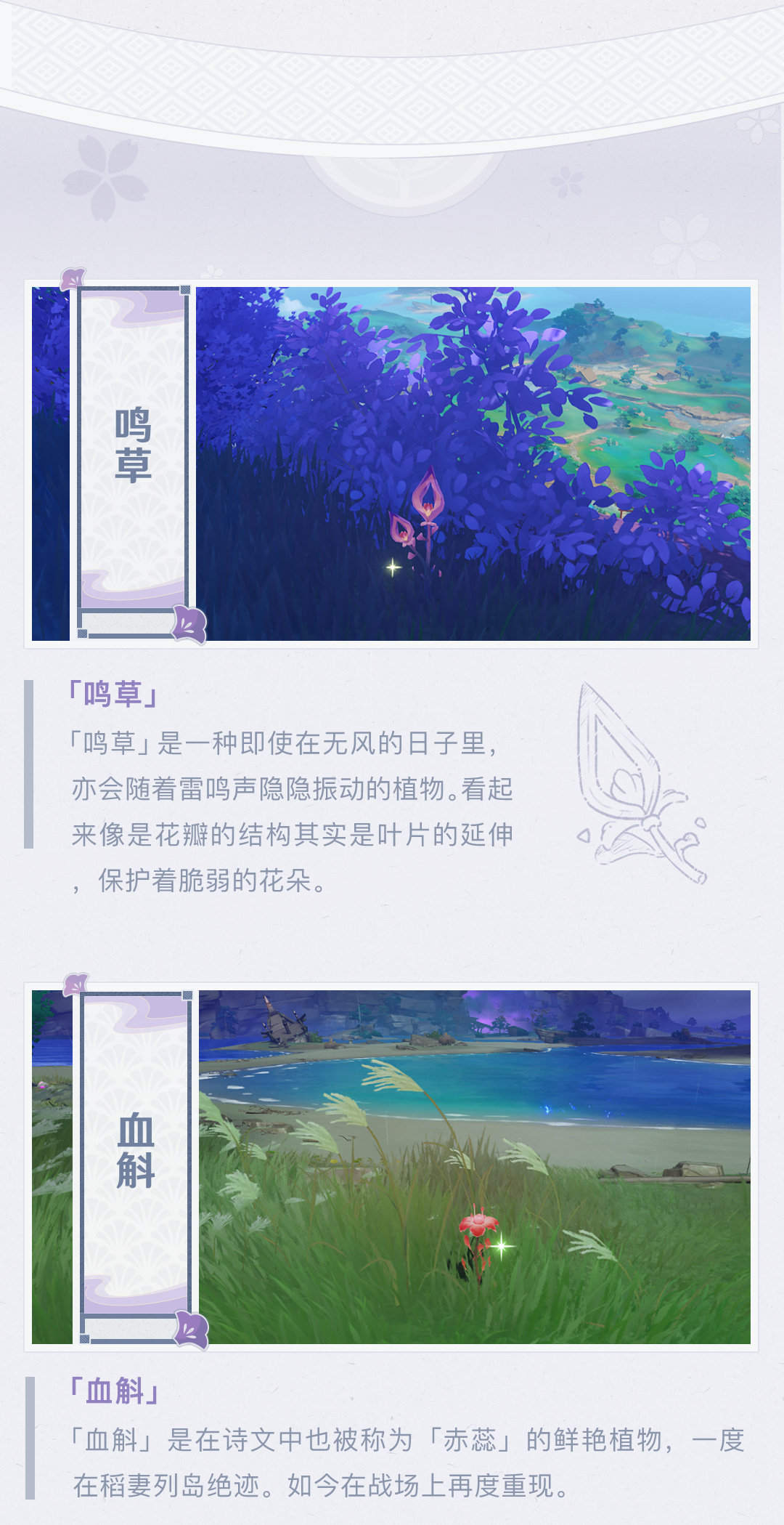 原神2.0版本前瞻：【稻妻手帐004期】前所未见的特产！