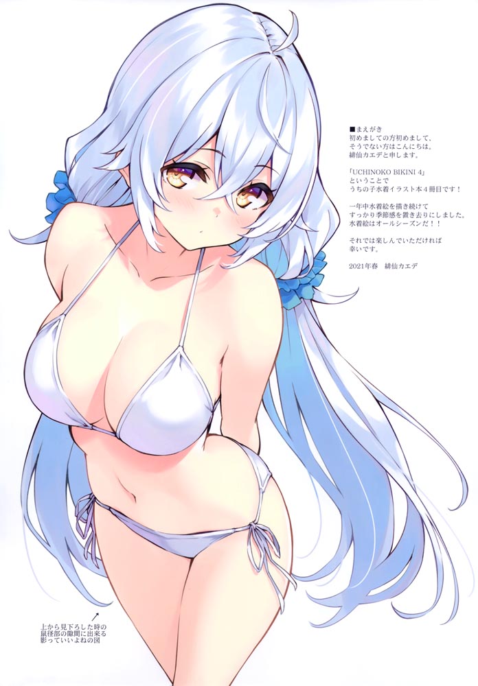 泳装画集： UCHINOKO BIKINI 4 【LA-GO-ON (緋仙カエデ )】