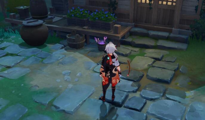 原神稻妻攻略：保本的竹篮【隐藏成就：游医的奥德赛】