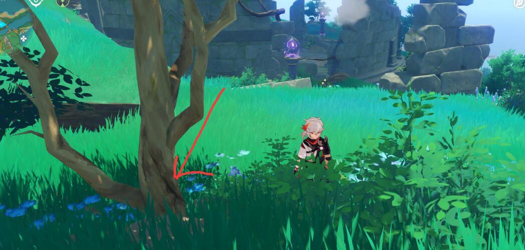 原神稻妻攻略：保本的竹篮【隐藏成就：游医的奥德赛】