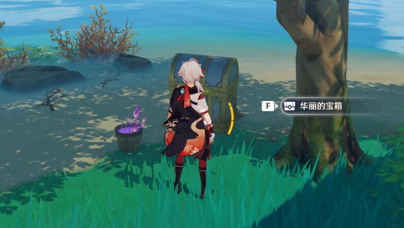 原神稻妻攻略：保本的竹篮【隐藏成就：游医的奥德赛】