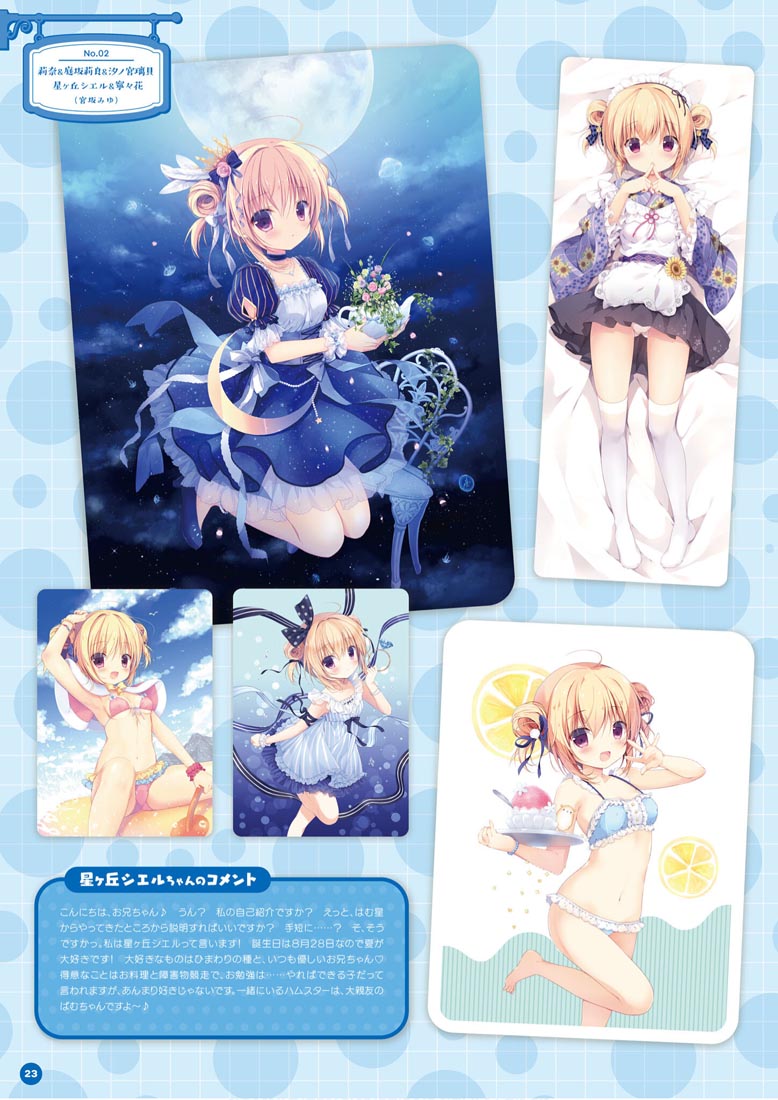 画集：萌王看板娘特辑【MOEOHセレクション 看板娘アルバム】