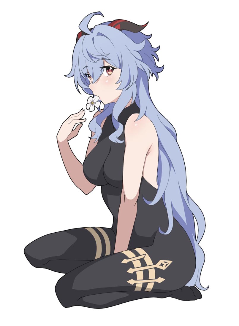 Pixiv插画精选#早安原神【211028】