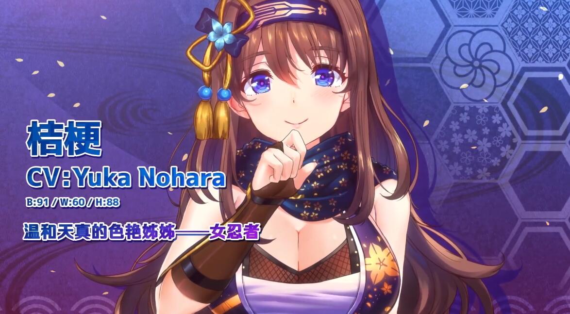 Qureate社《NinNinDays2》NS版公布简体中文宣传片