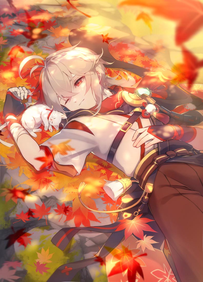 每日好图#午安原神【211110】