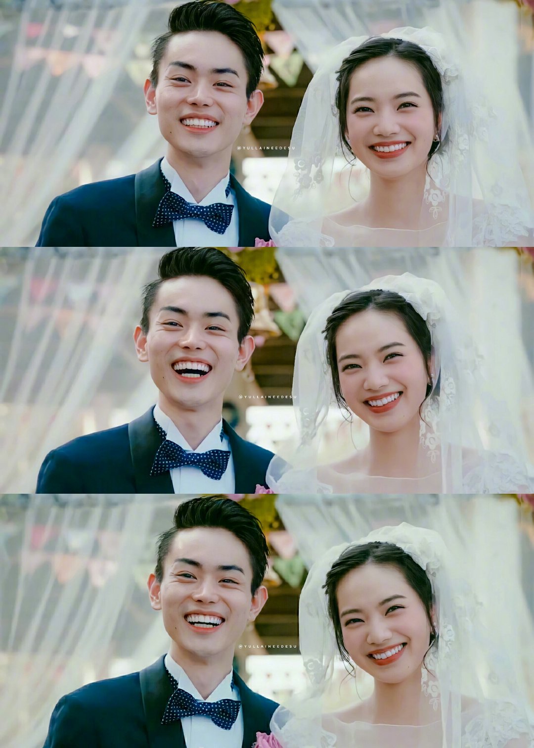 演员 菅田将晖 与 小松菜奈 宣布结婚