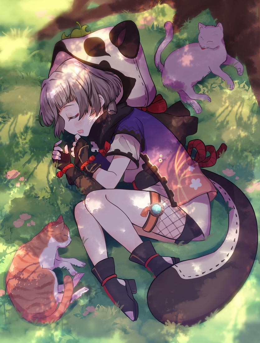 动漫美图#午安xman【220122】