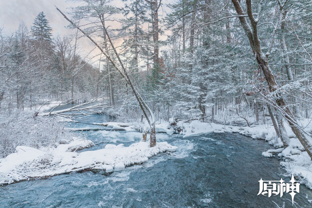 原神「雪峰胜景 星耀奇旅」网页活动玩家数已达100W