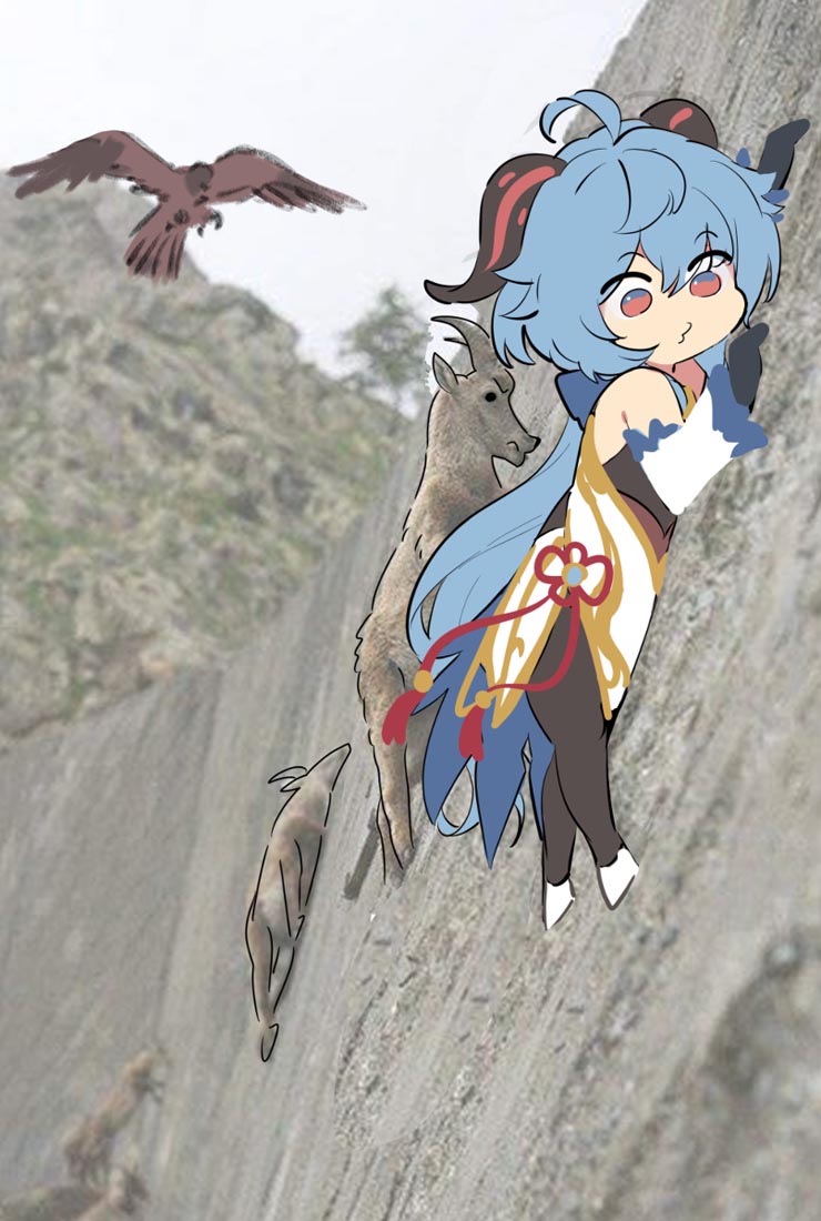 P站原神插画更新#午安【220127】