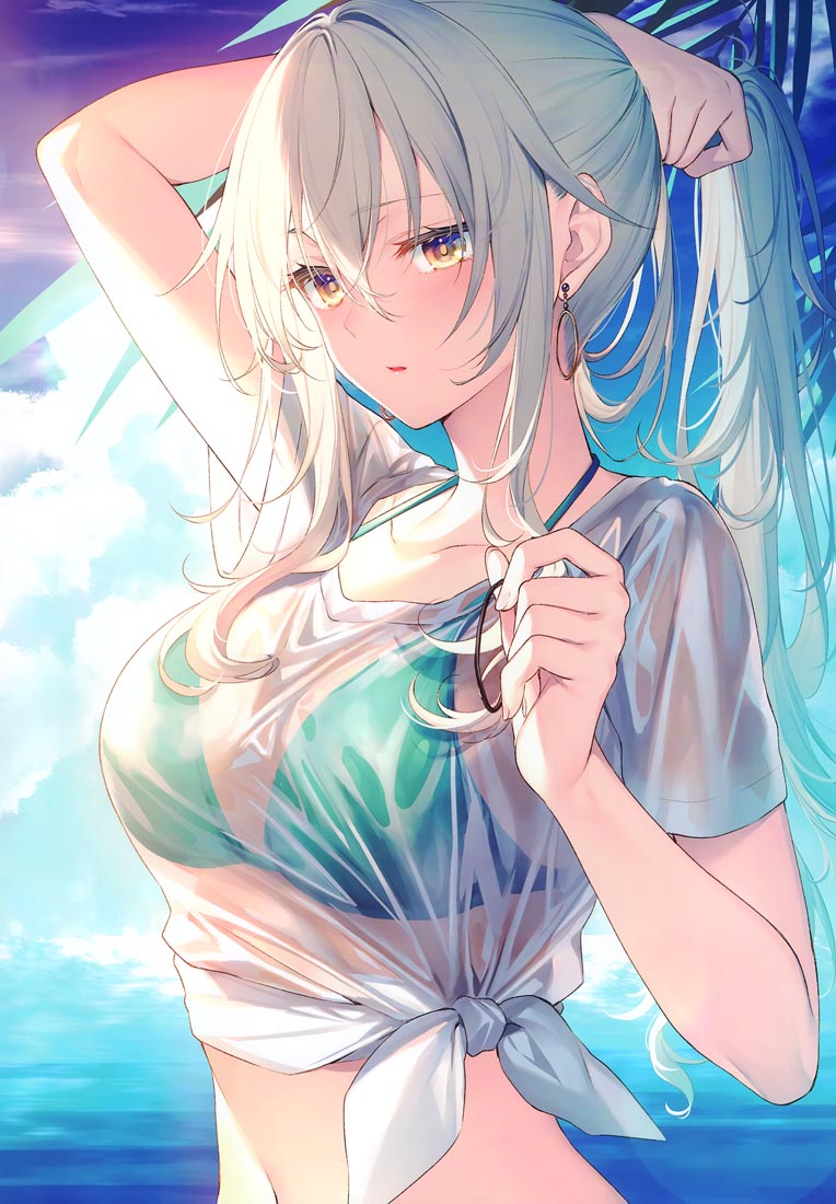 精美画集：(C99)CITRUS (オリジナル)【画师：遠坂あさぎ】