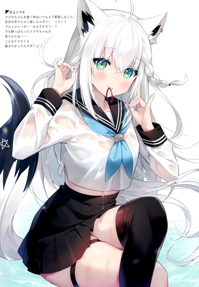 精美画集：HOLO×NURESUKE（C99）【ハチゴ (あやみ）】