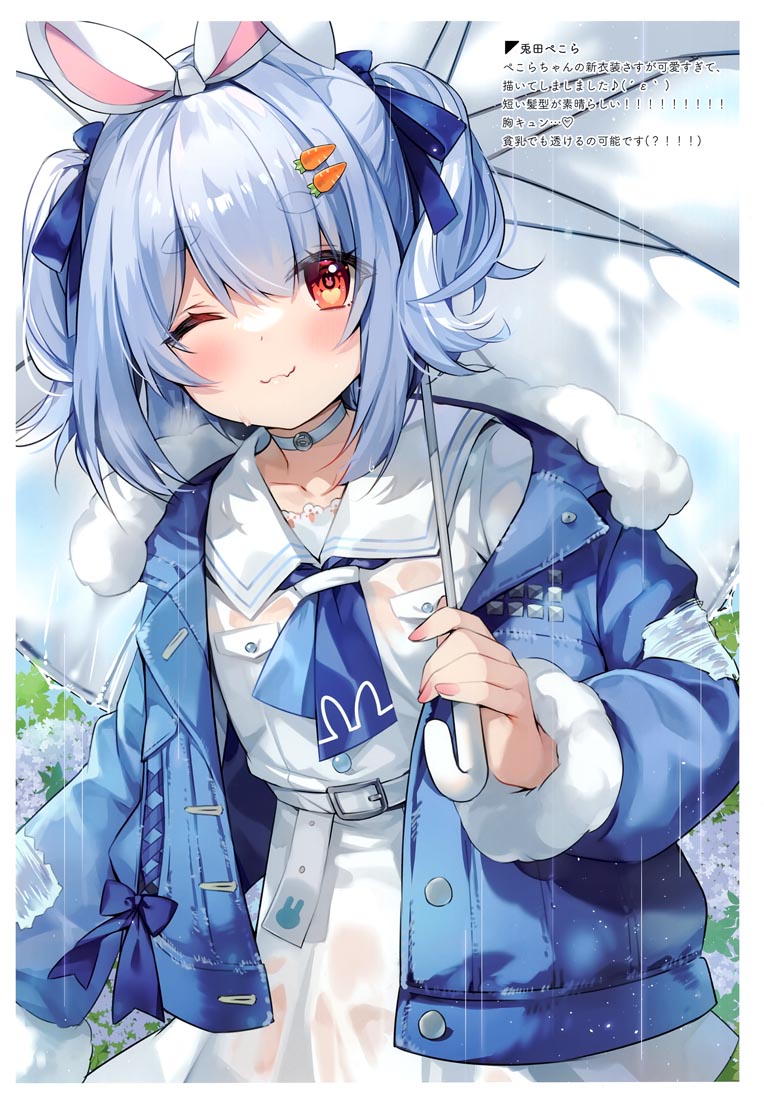 精美画集：HOLO×NURESUKE（C99）【ハチゴ (あやみ）】