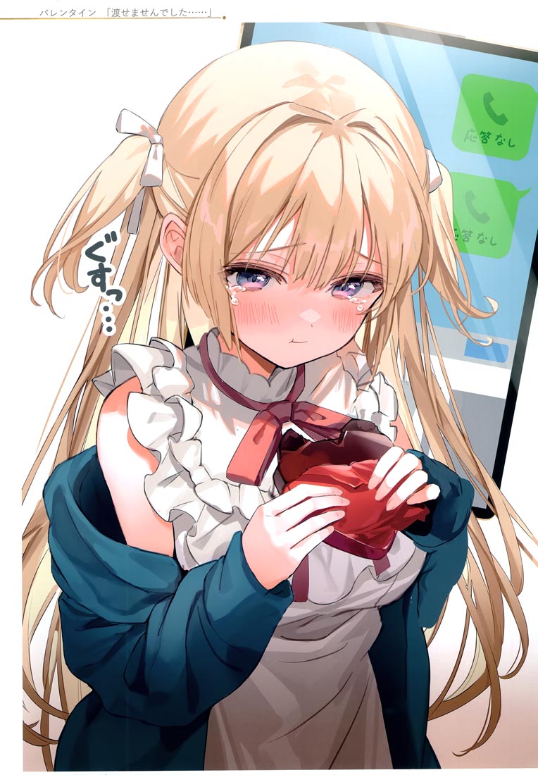 精美画集：(C99)お嬢様やめたい【館田ダン】