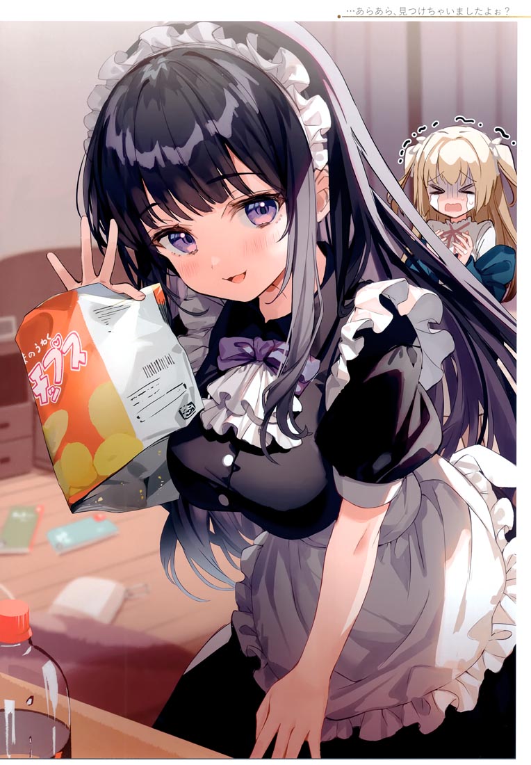 精美画集：(C99)お嬢様やめたい【館田ダン】