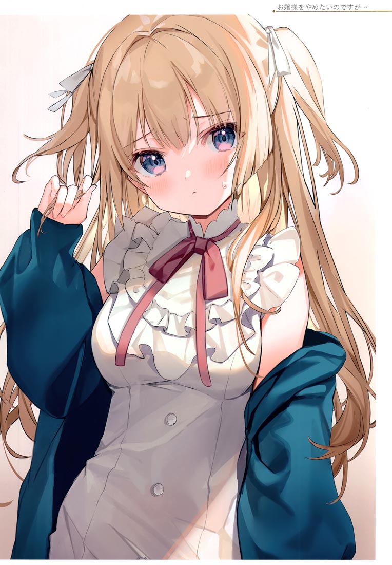 精美画集：(C99)お嬢様やめたい【館田ダン】