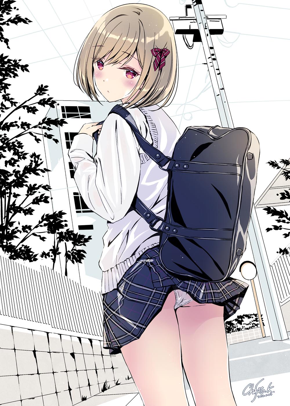 每日好图：思春期コンプレックス【画师：小林ちさと】