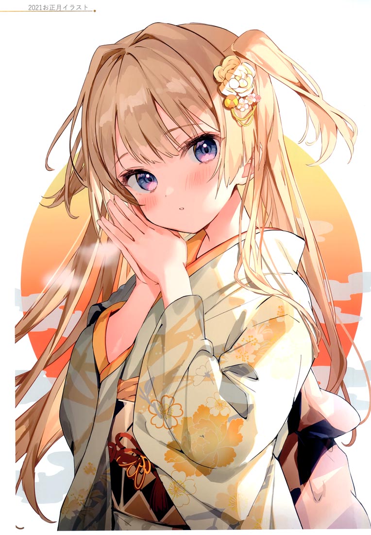 精美画集：(C99)お嬢様やめたい【館田ダン】