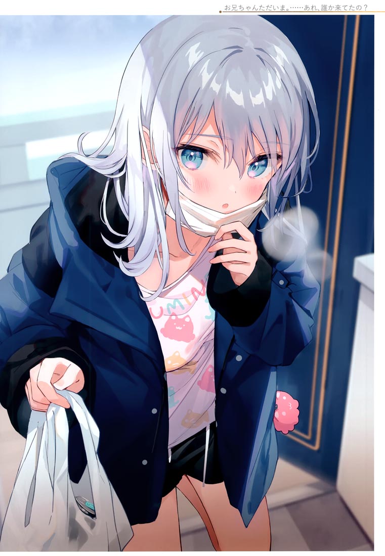 精美画集：(C99)お嬢様やめたい【館田ダン】