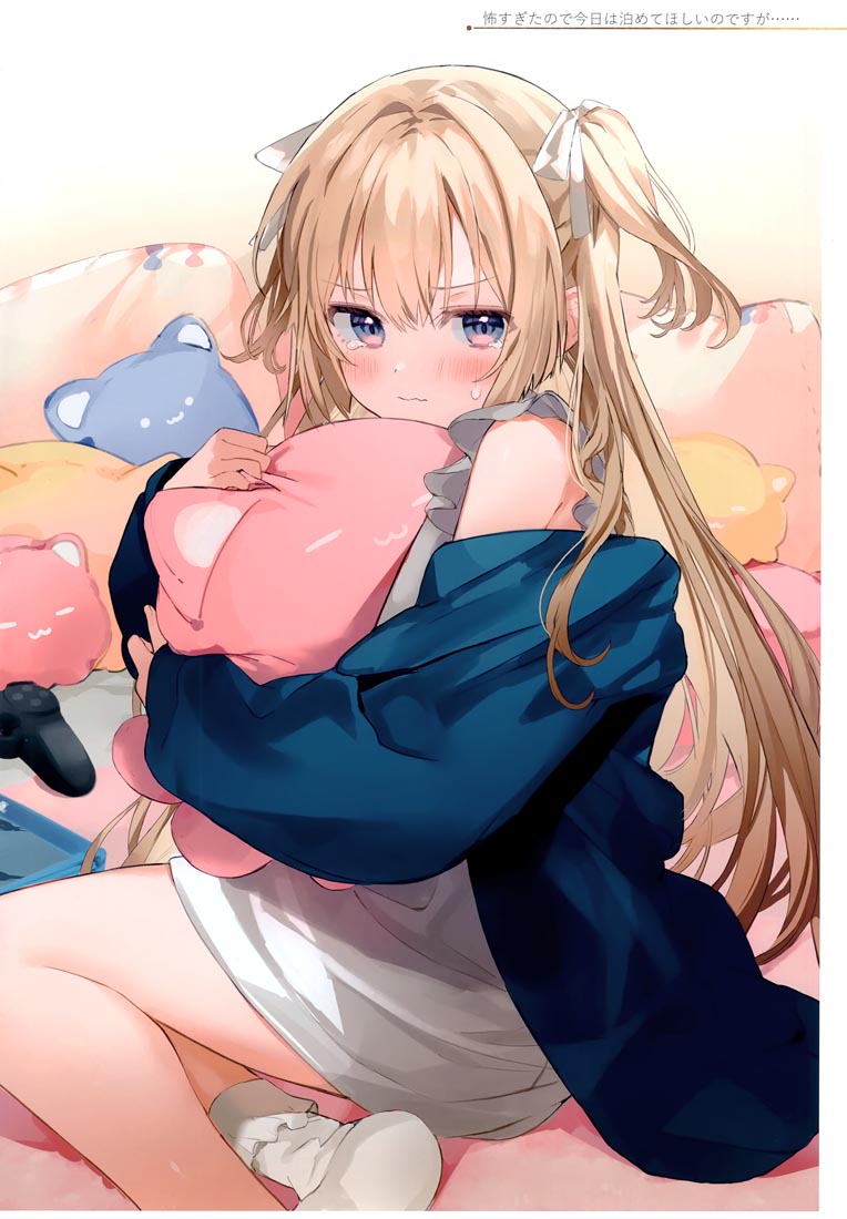 精美画集：(C99)お嬢様やめたい【館田ダン】