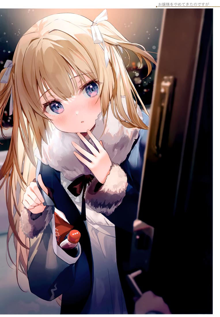 精美画集：(C99)お嬢様やめたい【館田ダン】