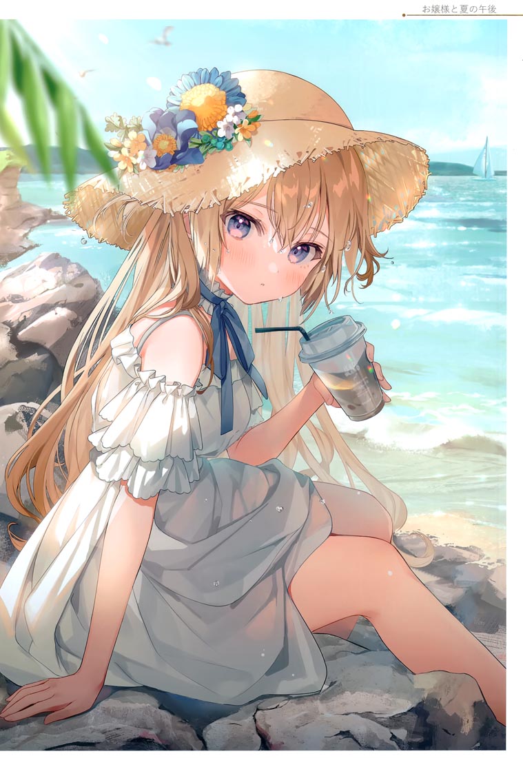 精美画集：(C99)お嬢様やめたい【館田ダン】