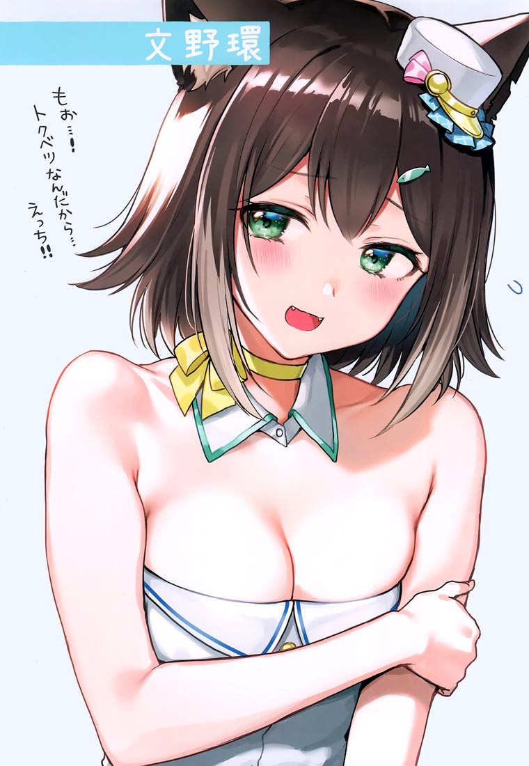 精美画集：(C99) V推し!!(バーチャルYouTuber)【西沢5㍉】