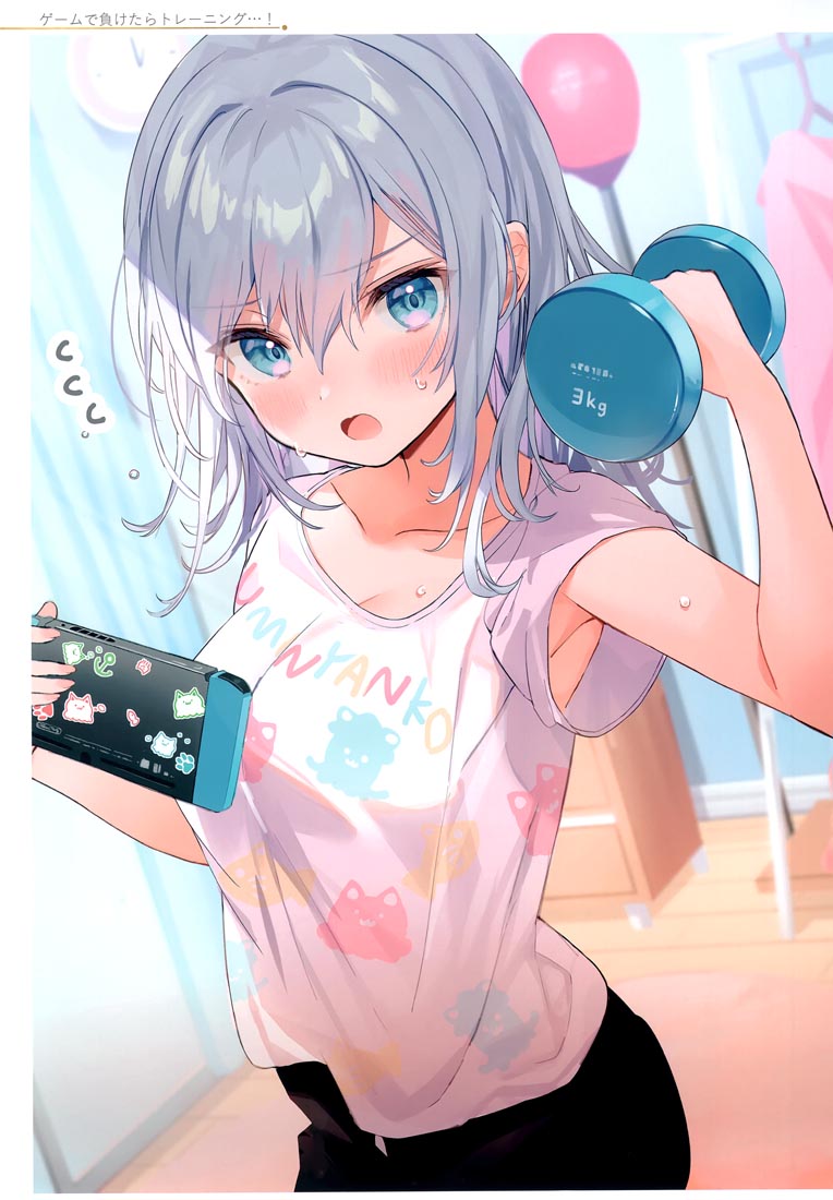 精美画集：(C99)お嬢様やめたい【館田ダン】