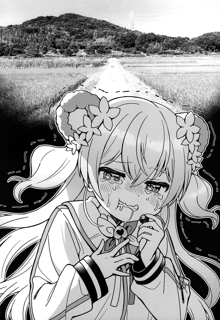 精美画集：(C99) V推し!!(バーチャルYouTuber)【西沢5㍉】