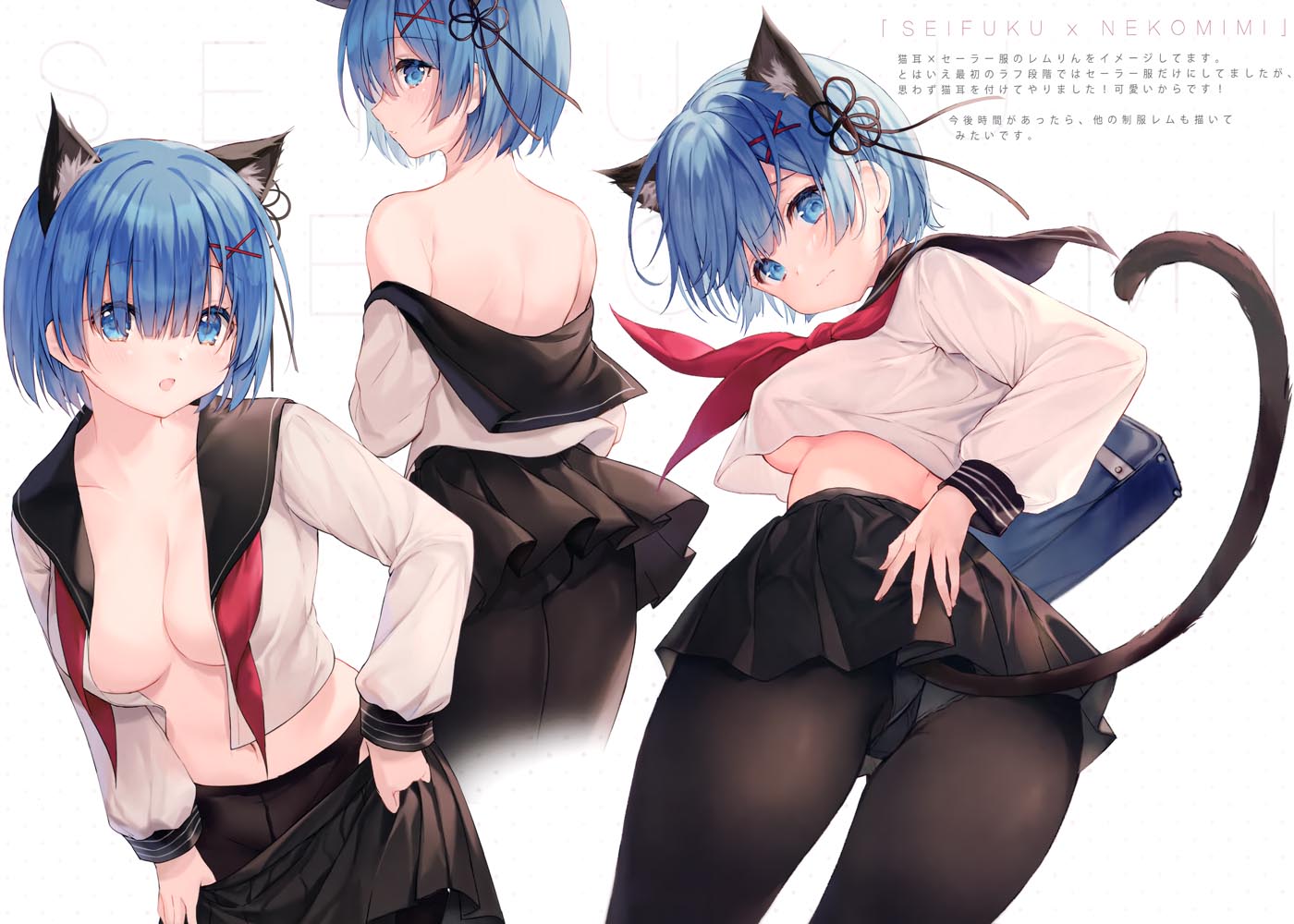 精美画集：(C99) REM BOX 【画师：eikaa】