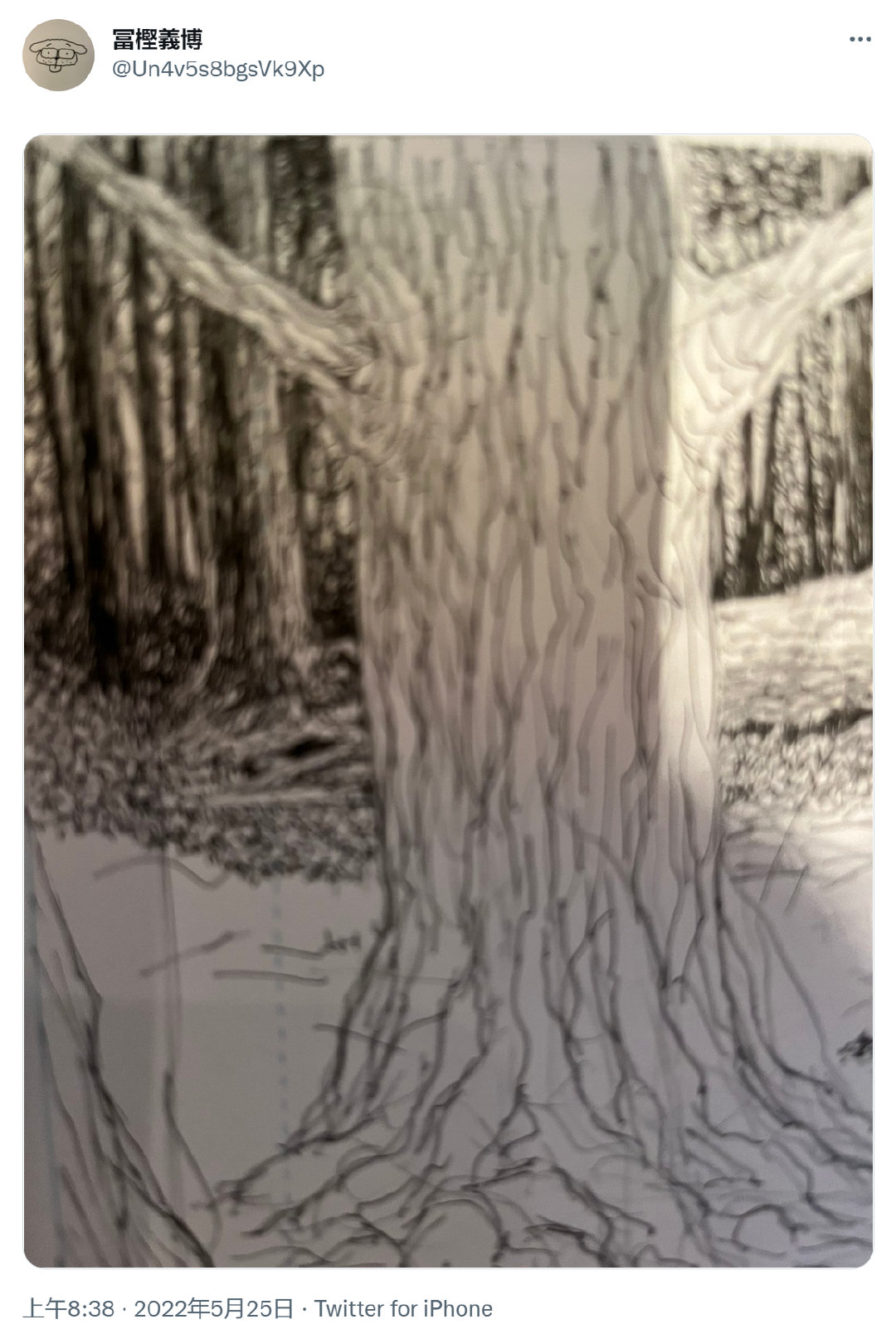 推特惊现富坚义博账号，《全职猎人》恢复连载有望？