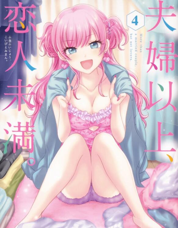 TV动画《夫妇以上，恋人未满》先导视觉图公开