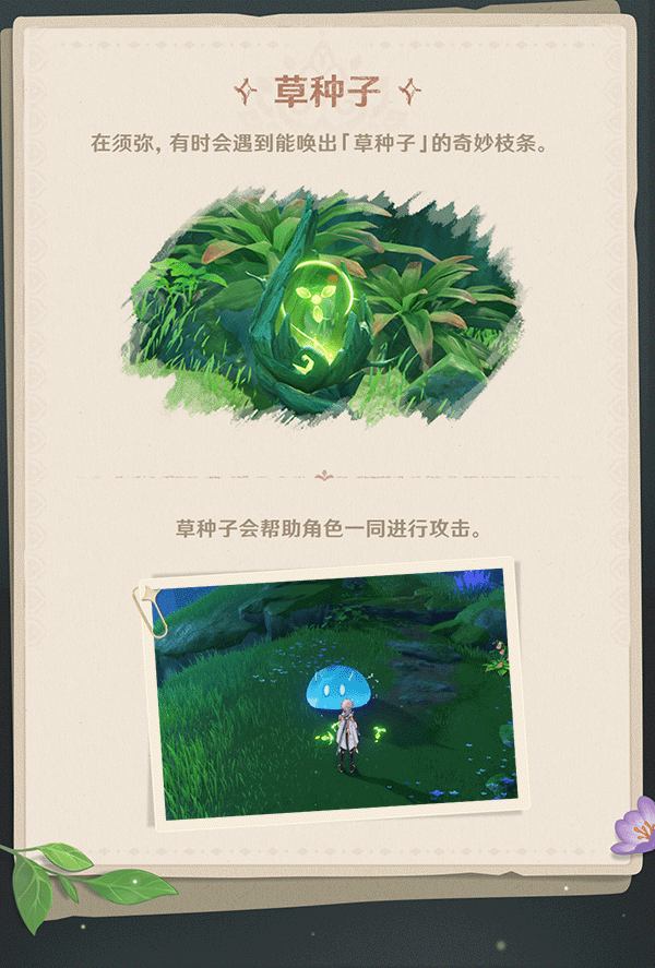 原神3.0：须弥冒险笔记002期——神奇生物在这里