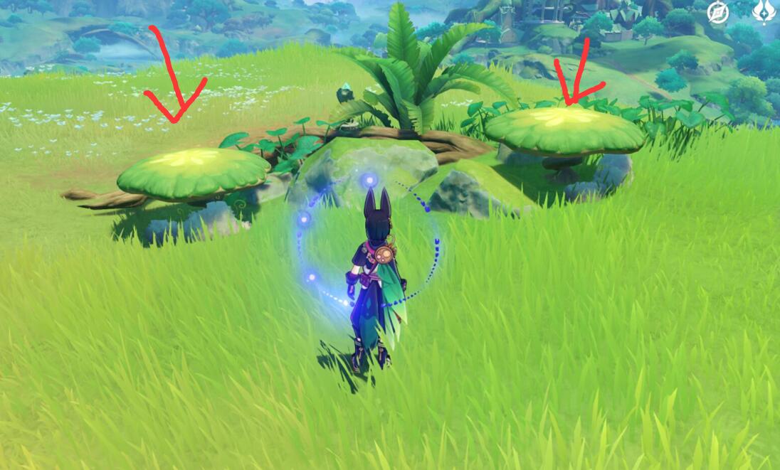 原神3.0攻略：须弥  双人联机  隐藏宝箱！！