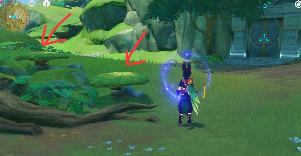 原神3.0攻略：须弥  双人联机  隐藏宝箱！！