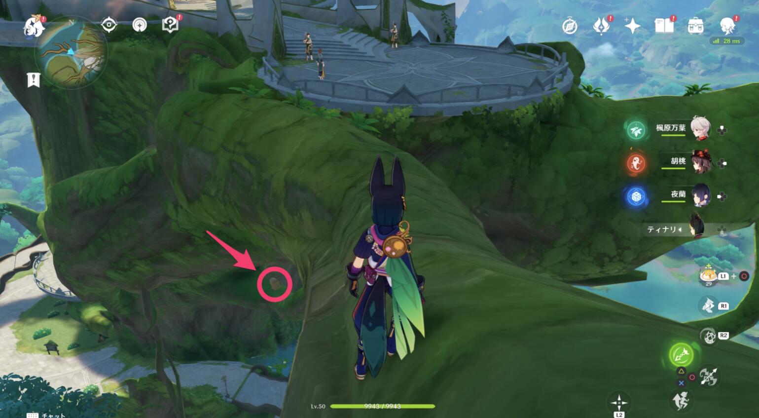 原神3.0攻略：须弥城 净善宫【华丽宝箱*2、草神瞳*1、隐藏成就：究竟一切智地】