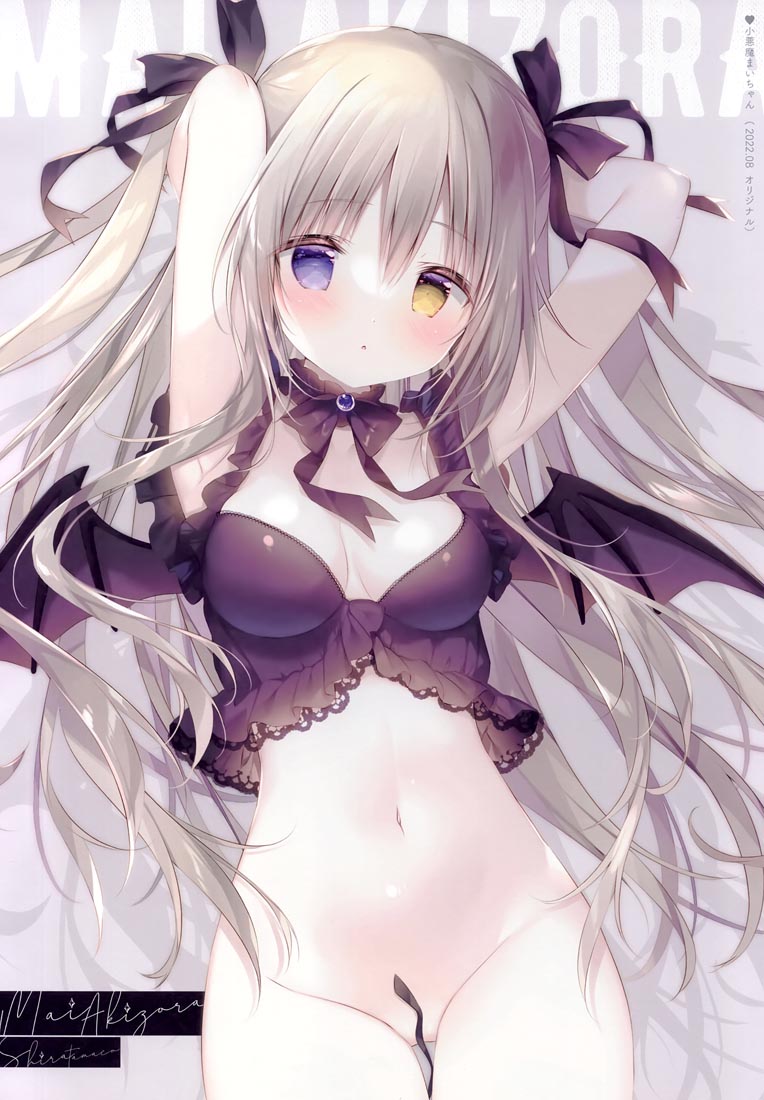 精美画集：Étoile 11（C100）