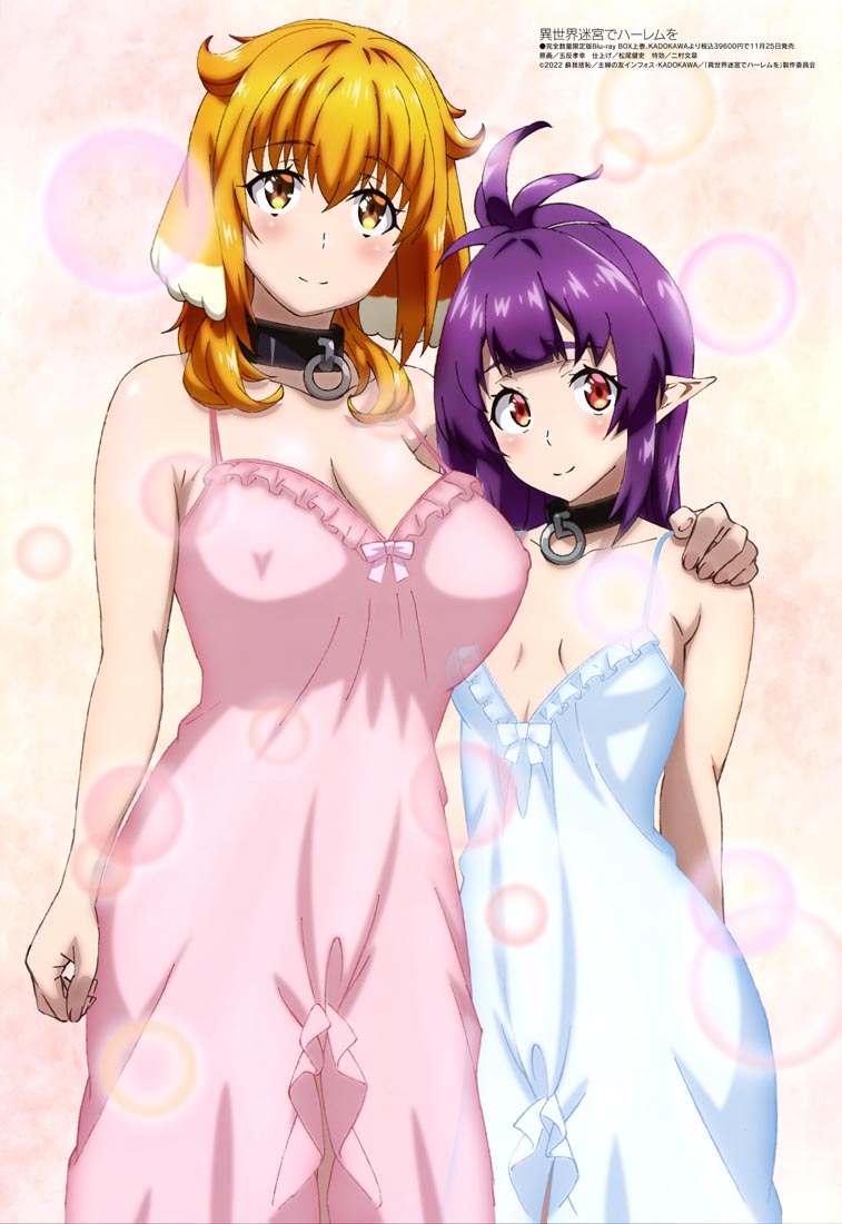 新番动画美少女版权绘「Megami MAGAZINE」2022年11月号