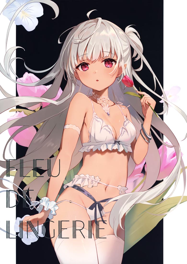 精美画集：FleurdeLingerie【画师：オムレットマト】(C100)